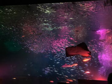 南知多ビーチランド＆南知多おもちゃ王国に投稿された画像（2022/12/18）