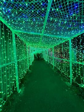 さがみ湖MORI MORIに投稿された画像（2022/12/18）