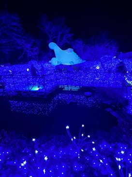 さがみ湖MORI MORIに投稿された画像（2022/12/18）