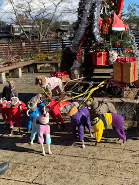 わんダフルネイチャーヴィレッジに投稿された画像（2022/12/18）