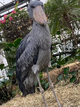 神戸どうぶつ王国に投稿された画像（2022/12/19）