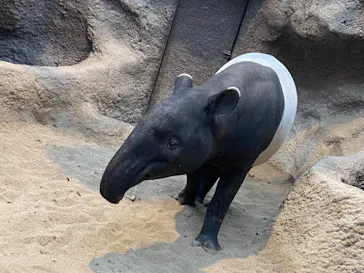 神戸どうぶつ王国に投稿された画像（2022/12/19）