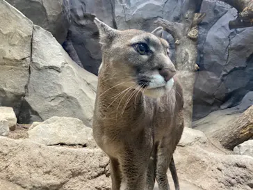 神戸どうぶつ王国に投稿された画像（2022/12/19）