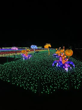 東武動物公園に投稿された画像（2022/12/19）