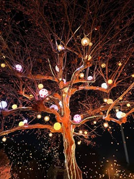 西武園ゆうえんちに投稿された画像（2022/12/19）