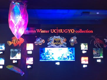 UWSアクアリウム　UNDER WATER SPACEに投稿された画像（2022/12/19）