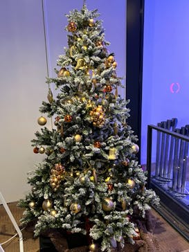 ビルボードライブ横浜に投稿された画像（2022/12/19）