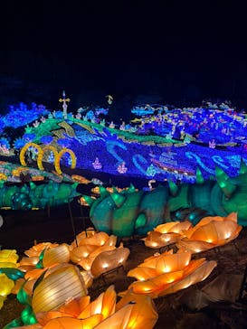 伊豆ぐらんぱる公園に投稿された画像（2022/12/19）