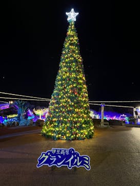 伊豆ぐらんぱる公園に投稿された画像（2022/12/19）