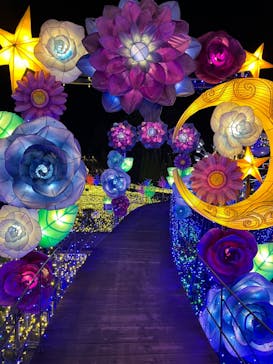 伊豆ぐらんぱる公園に投稿された画像（2022/12/19）