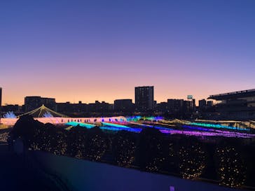 東京メガイルミに投稿された画像（2022/12/19）