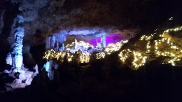 石垣島鍾乳洞に投稿された画像（2022/12/19）