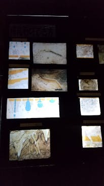 石垣島鍾乳洞に投稿された画像（2022/12/19）