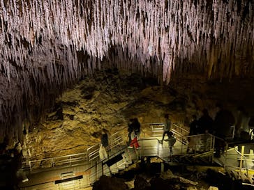 おきなわワールドに投稿された画像（2022/12/19）