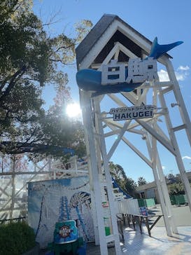 ナガシマスパーランドに投稿された画像（2022/12/19）