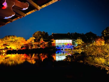 NAKEDヨルモウデ2022平安神宮に投稿された画像（2022/12/19）