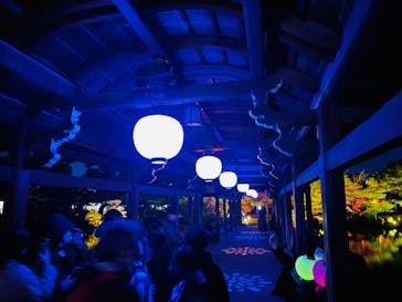 NAKEDヨルモウデ2022平安神宮に投稿された画像（2022/12/19）