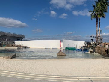 大分マリーンパレス水族館 「うみたまご」に投稿された画像（2022/12/19）