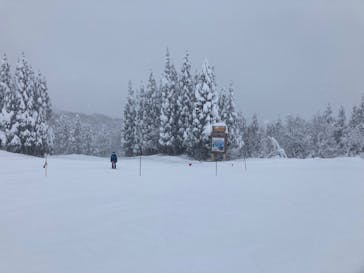 スキージャム勝山に投稿された画像（2022/12/19）