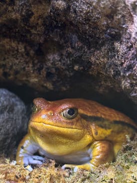 体感型カエル館KawaZooに投稿された画像（2022/12/19）