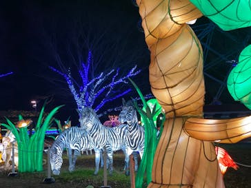 東武動物公園に投稿された画像（2022/12/19）