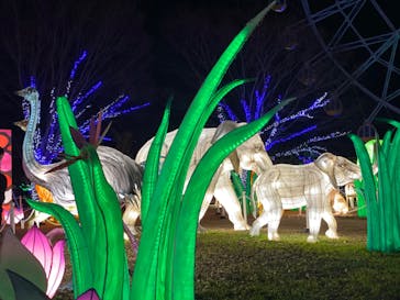 東武動物公園に投稿された画像（2022/12/19）