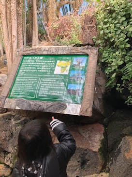 伊豆シャボテン動物公園に投稿された画像（2022/12/19）