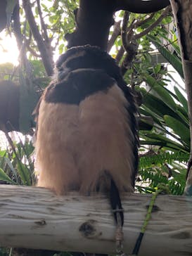 伊豆シャボテン動物公園に投稿された画像（2022/12/19）