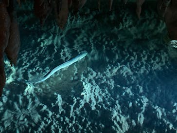 おきなわワールドに投稿された画像（2022/12/19）