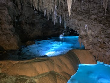 おきなわワールドに投稿された画像（2022/12/19）