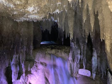 おきなわワールドに投稿された画像（2022/12/19）