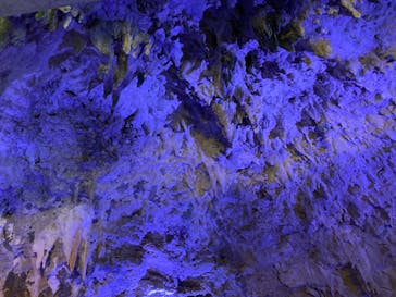 おきなわワールドに投稿された画像（2022/12/19）