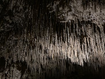 おきなわワールドに投稿された画像（2022/12/19）