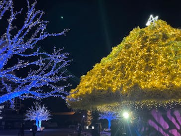 東京メガイルミに投稿された画像（2022/12/19）