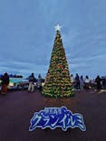 伊豆ぐらんぱる公園に投稿された画像（2022/12/19）