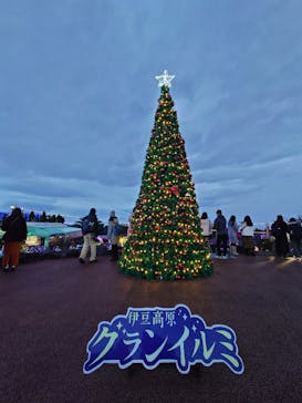 伊豆ぐらんぱる公園に投稿された画像（2022/12/19）