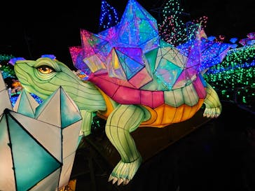 伊豆ぐらんぱる公園に投稿された画像（2022/12/19）