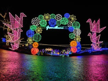 伊豆ぐらんぱる公園に投稿された画像（2022/12/19）