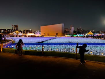 東京メガイルミに投稿された画像（2022/12/19）