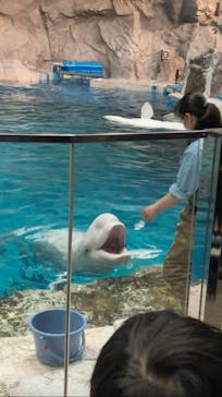 名古屋港水族館に投稿された画像（2022/12/19）