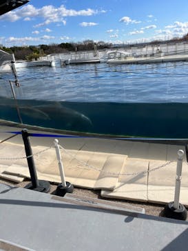 京都水族館に投稿された画像（2022/12/19）