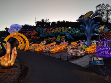 伊豆ぐらんぱる公園に投稿された画像（2022/12/19）