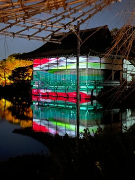 NAKEDヨルモウデ2022平安神宮に投稿された画像（2022/12/19）