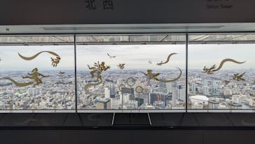 横浜ランドマークタワー 69階展望フロア スカイガーデンに投稿された画像（2022/12/19）