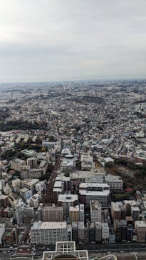 横浜ランドマークタワー 69階展望フロア スカイガーデンに投稿された画像（2022/12/19）