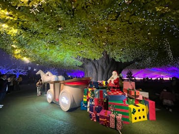 東京メガイルミに投稿された画像（2022/12/19）