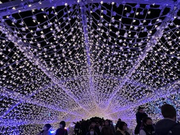 東京メガイルミに投稿された画像（2022/12/19）