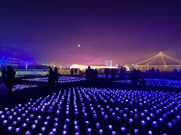 東京メガイルミに投稿された画像（2022/12/19）