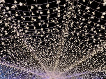 東京メガイルミに投稿された画像（2022/12/19）