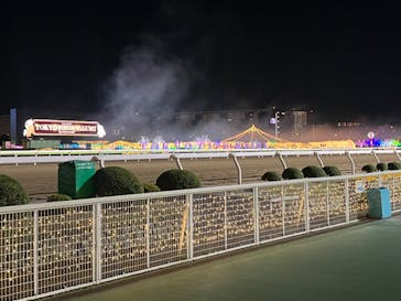 東京メガイルミに投稿された画像（2022/12/19）